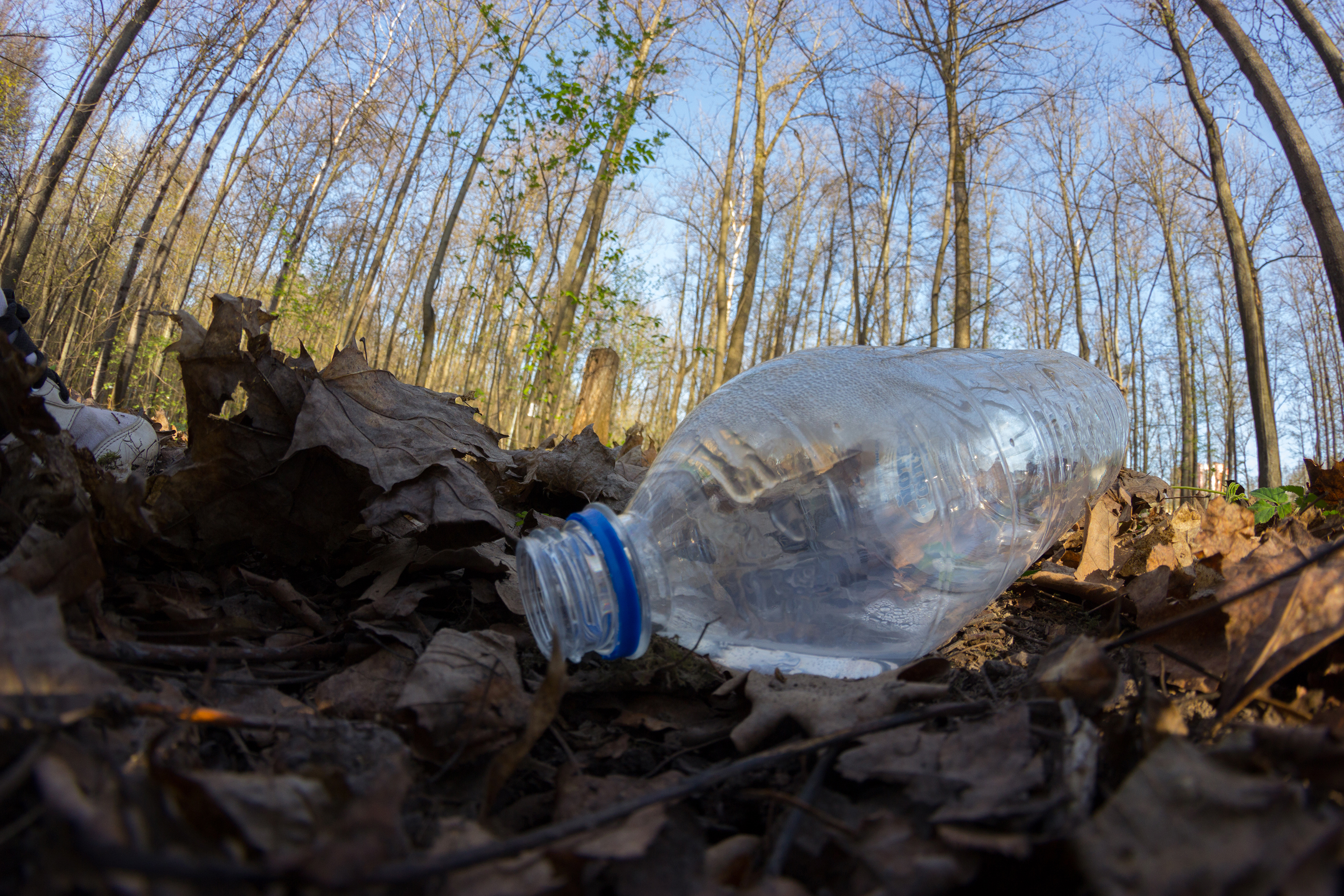 A carelessly throw away plastic bottle nestled in the foliage litters a forest path