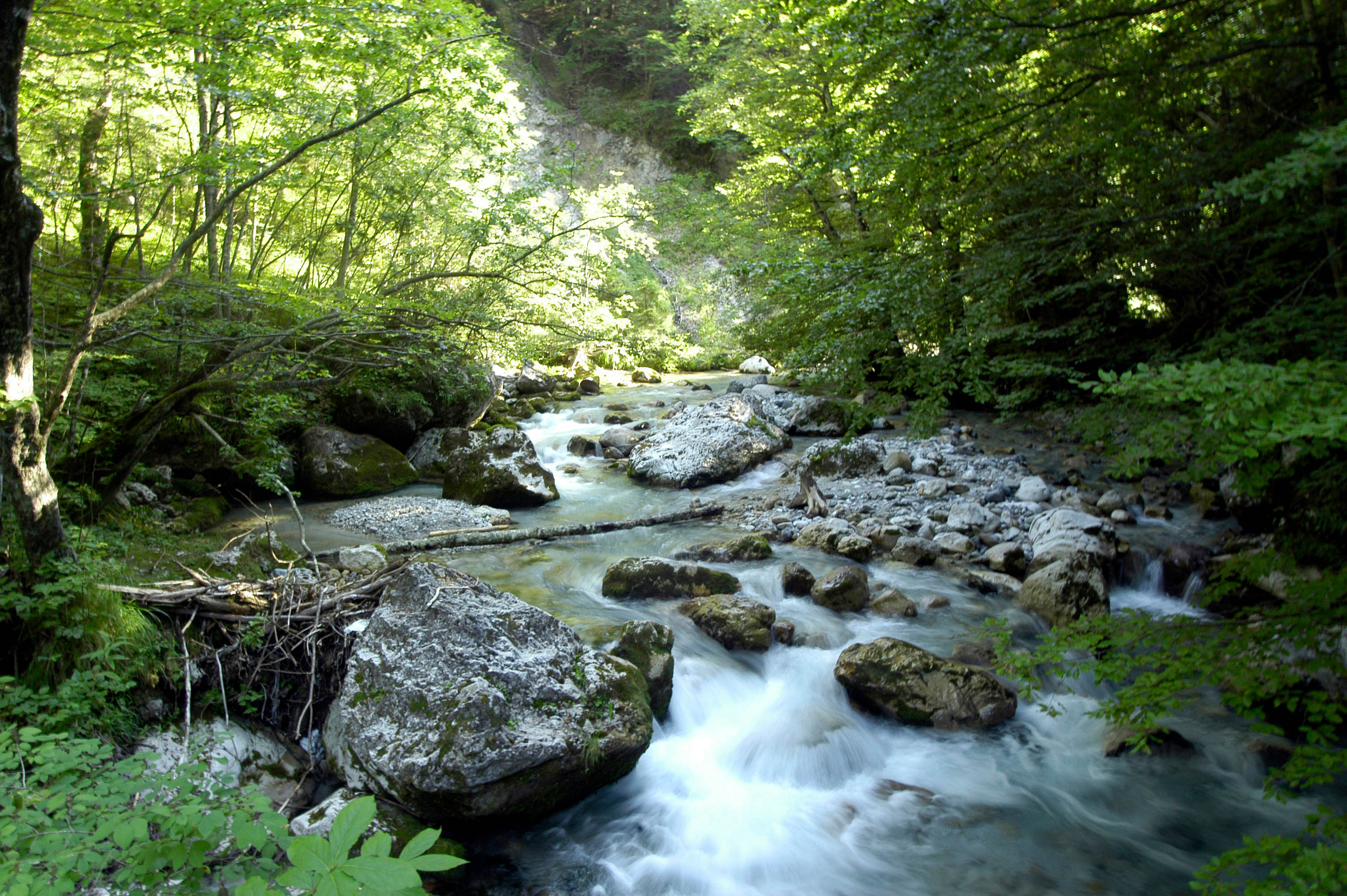 mountain stream in the alps